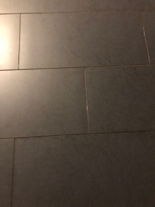 Recherche un terrassier professionnel à pas cher pour refaire mon allee de jardin avec des palmiers à Bordeaux