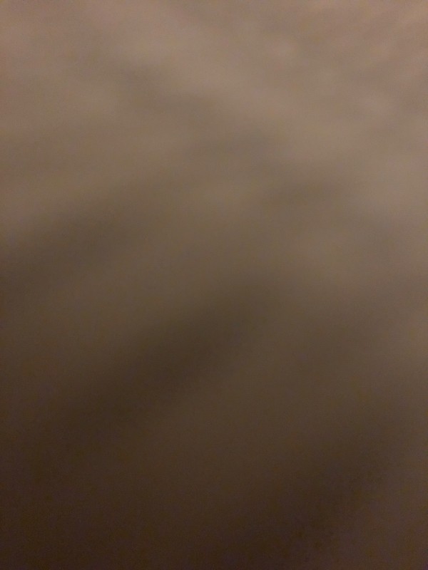 Recherche guide professionnel pour promenade en Sidecar à travers les vignes à Bordeaux