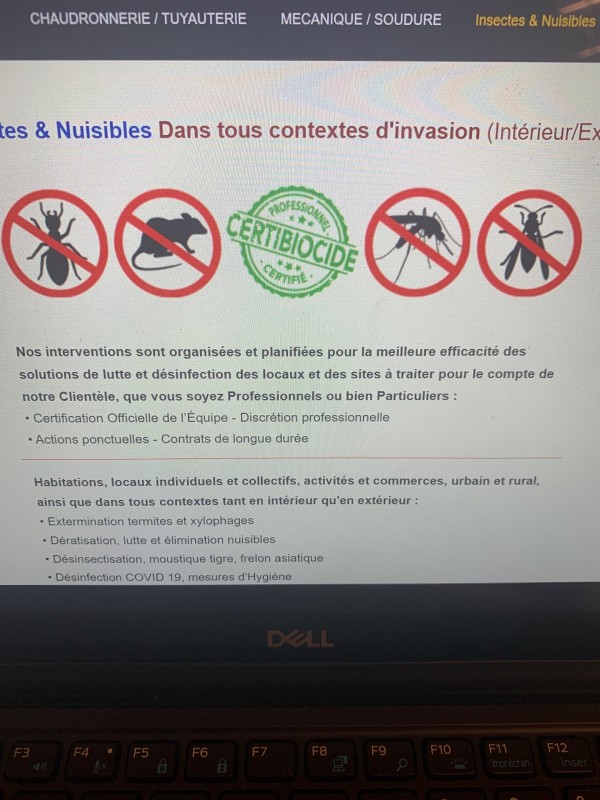 Trouver une entreprise pour éliminer des nuisibles dans une maison individuelle à Libourne