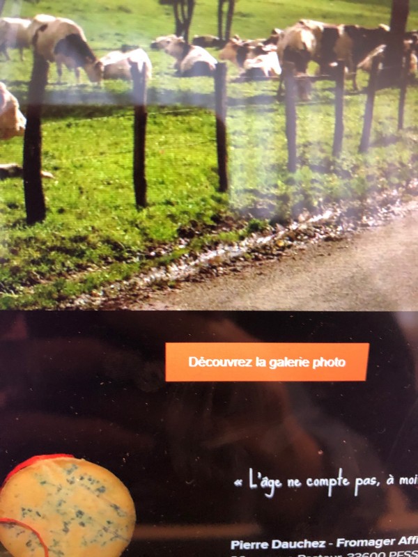 Trouver un fromager pour commander un plateau de fromage sur mesure pour cinq personnes à Pessac près de Bordeaux