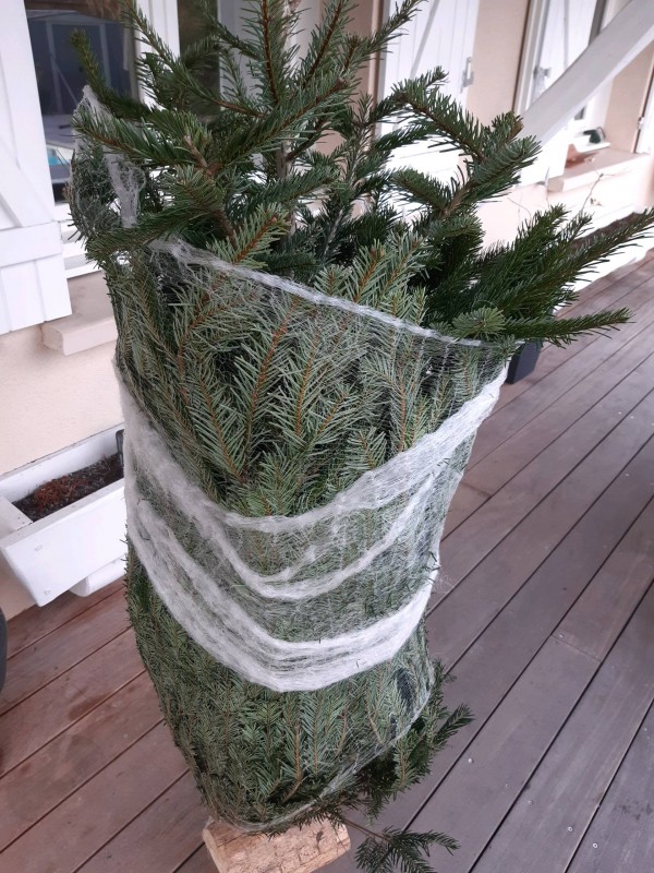 Trouver un sapin de Noël à Andernos-les-Bains