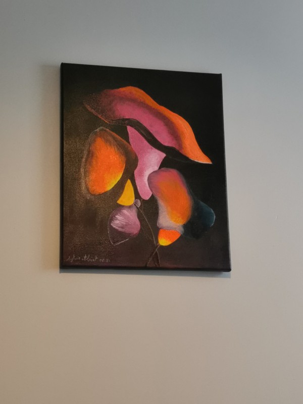 qu'est-ce que la numérologie et comment peut-elle aider au développement personnel ?