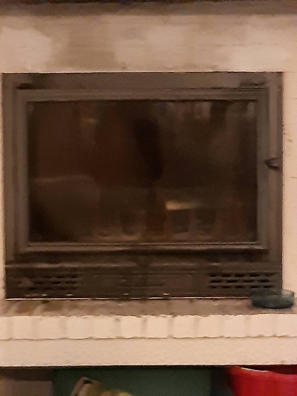 Trouver une entreprise d'élagage à Lège-Cap-Ferret