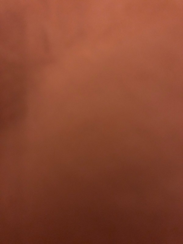 Recherche magasin spécialisé dans les citrouilles pas cheres pour Halloween à Pompignac