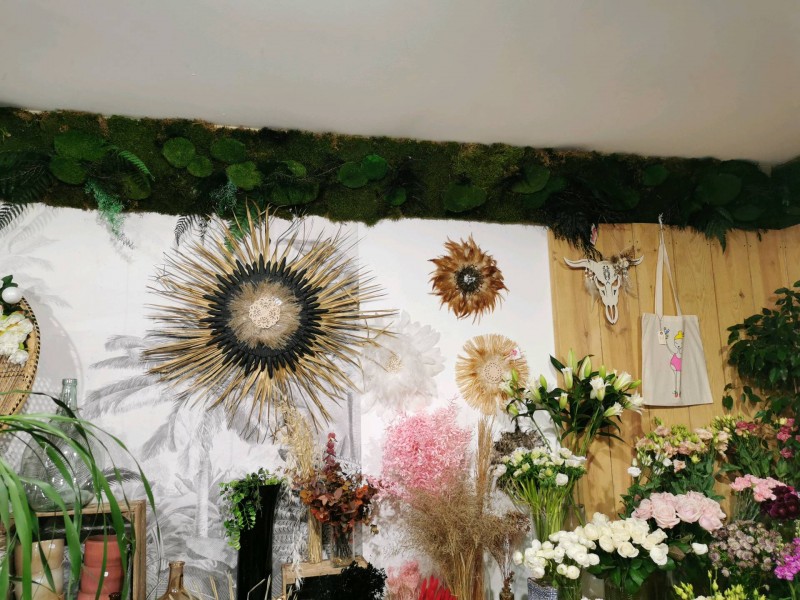 Création de murs végétaux sur Biscarrosse