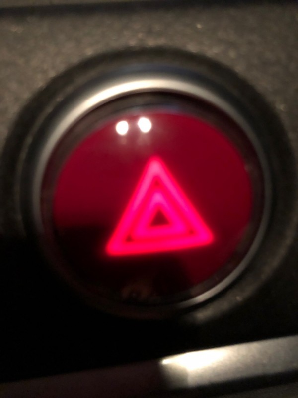 Recherche animalerie pas chère spécialisée dans la vente de petits chiens de race Lhassa Apso à Bordeaux