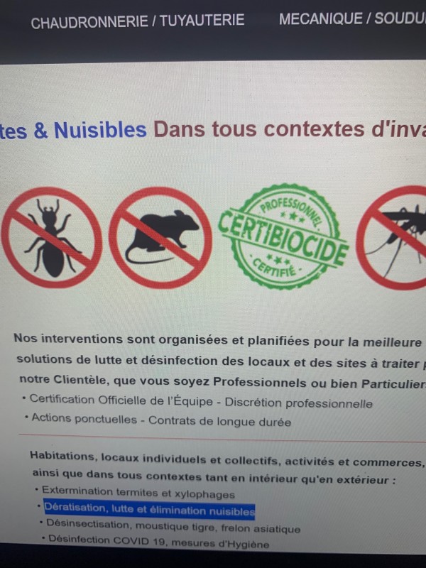 Trouver une entreprise spécialisée dans la terre attisassions et l’élimination des nuisibles à Bordeaux
