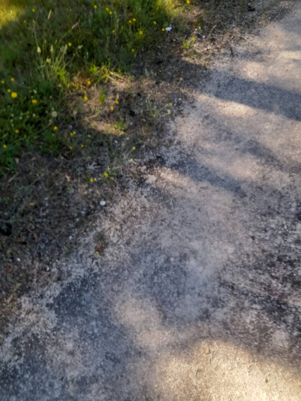 Trouver un plombier pour réparer une fuite d'eau un samedi