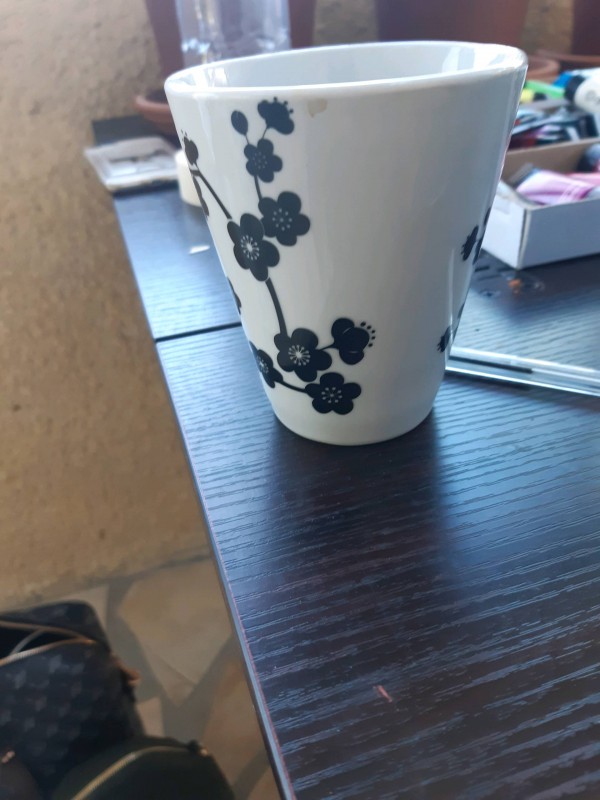 Création d'une terrasse Angresse érable à Bordeaux en Gironde