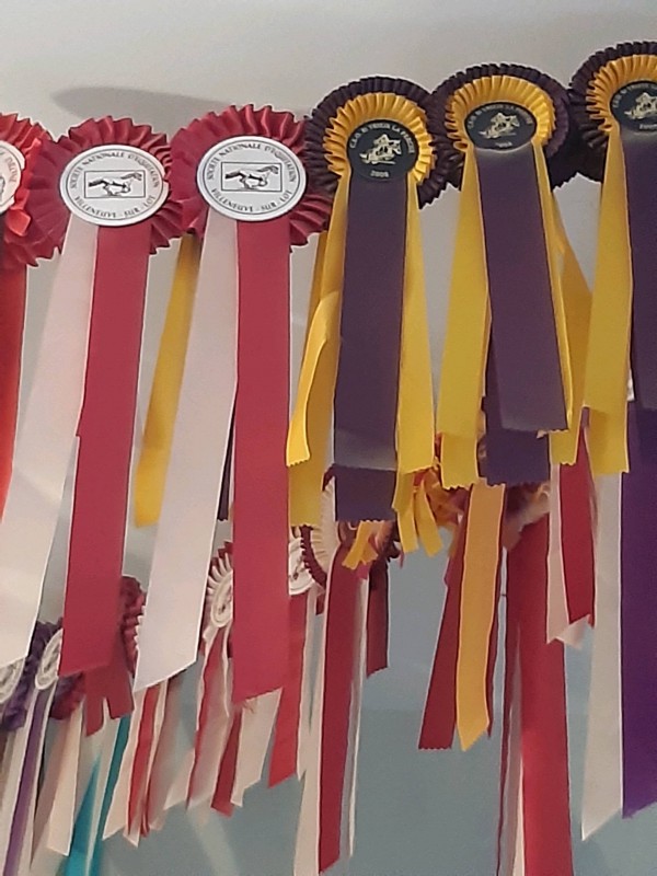 Nettoyage intérieur extérieur de mon véhicule à Mérignac