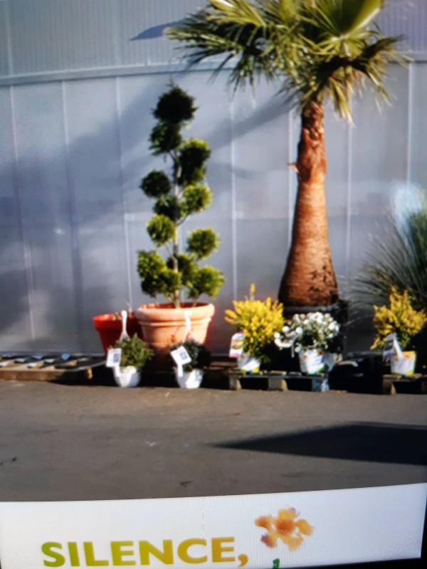 Où trouver un point de relais colis à Andernos-les-Bains ?