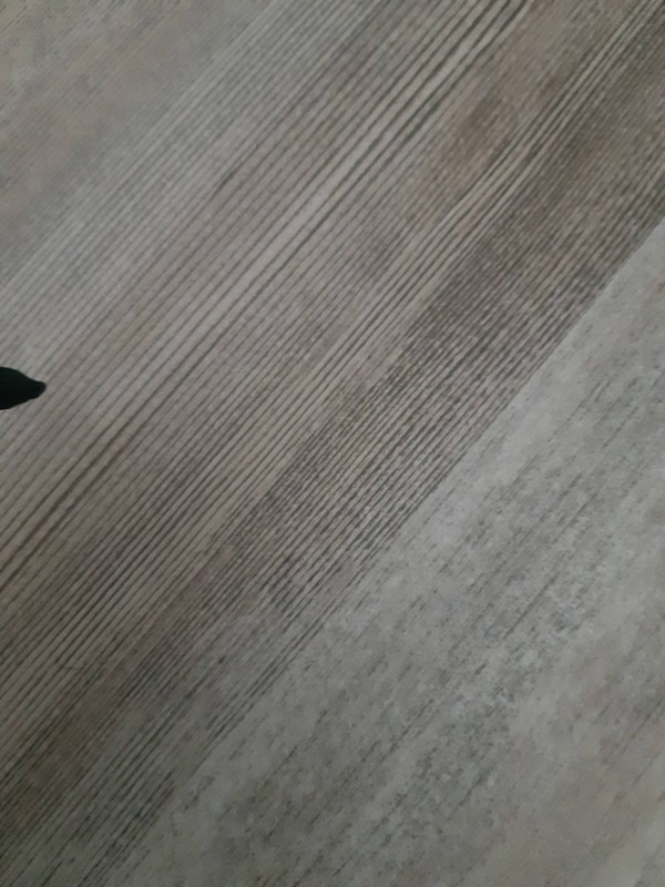 Visite virtuelle à 360 degrés de mon futur véhicule à Andernos-les-Bains sur le Bassin d'Arcachon