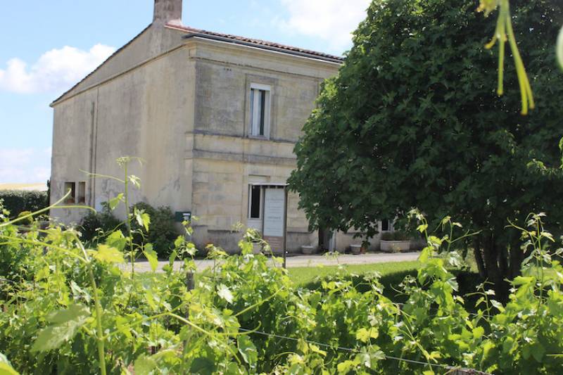 chateau pour dégustation de vin à bordeaux en gironde