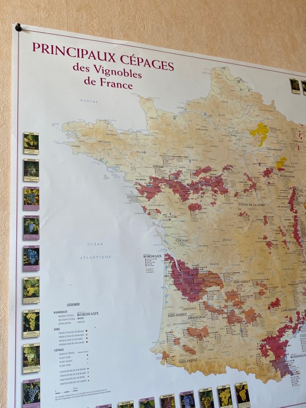 Producteur de vin rouge pour fournir un mariage dans le Médoc