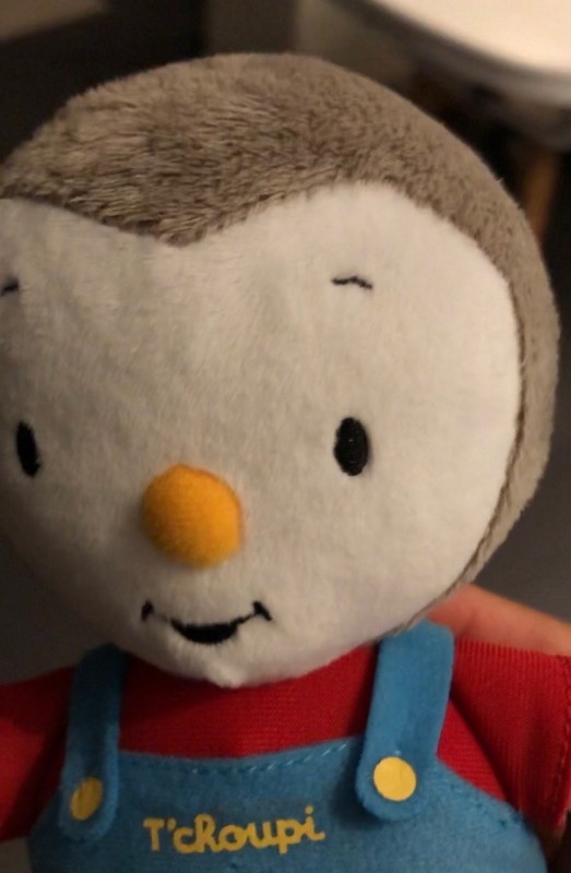 Recherche magasin spécialisé dans les peluches de Tchoupi pas cher à Bordeaux