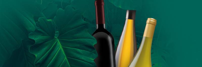 caviste Toulouse pour vins bio